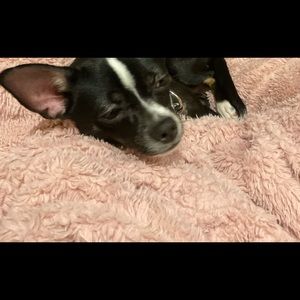 Meet your Posher, Katerina